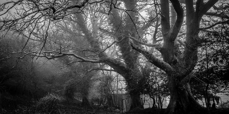 济南企业必读：人力资源法律风险防控实战指南——从劳务派遣到人才服务的合规操作